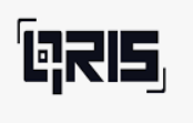 QRIS